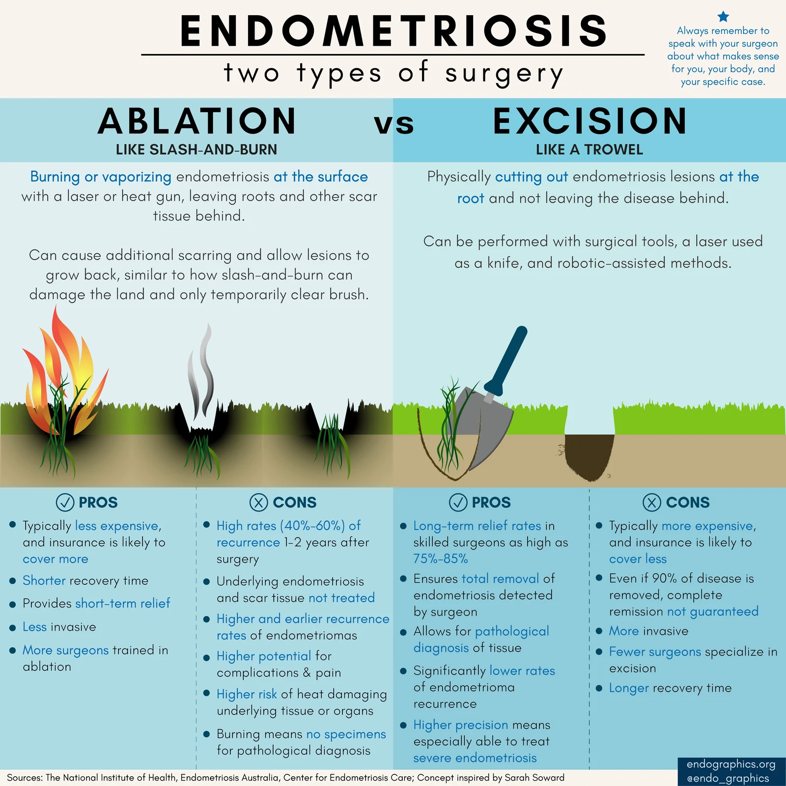 Infographic titled Endometriosis: two types of surgery. It compares ablation, like slash-and-burn, with excision, like a trowel, and lists the pros and cons of each.